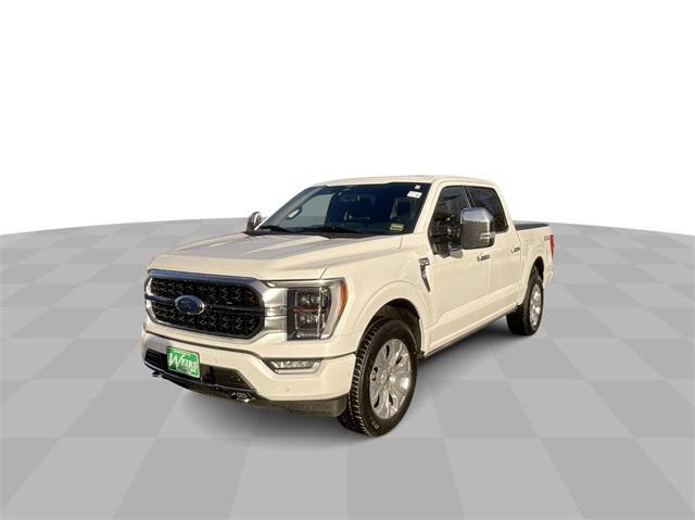 used 2023 Ford F-150 car, priced at $48,500