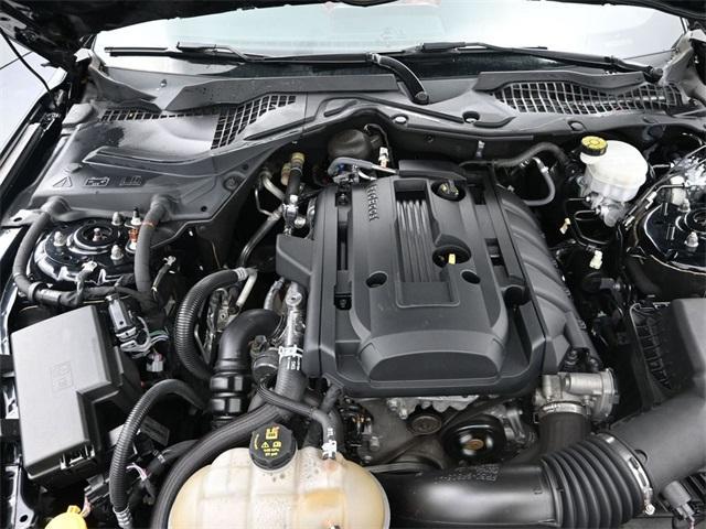 used 2019 Ford Mustang car, priced at $20,915