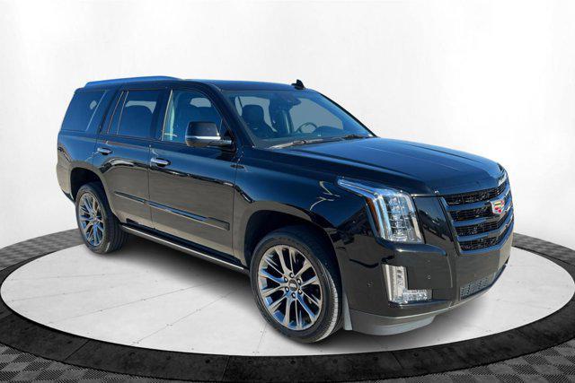 used 2020 Cadillac Escalade car, priced at $50,184