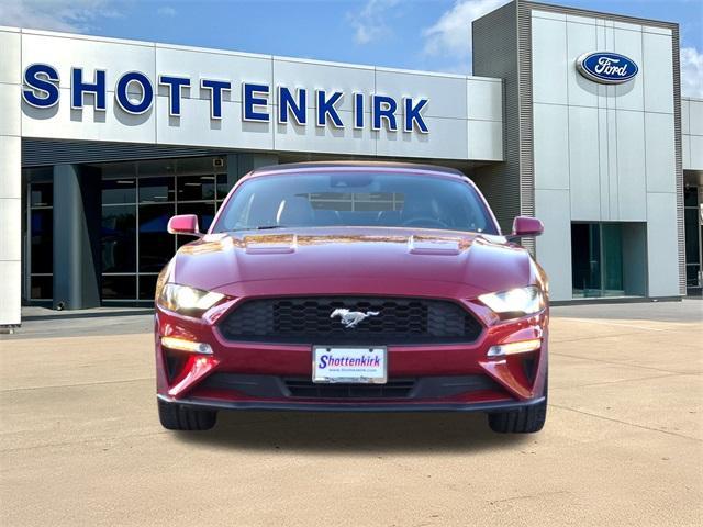 used 2019 Ford Mustang car, priced at $16,998