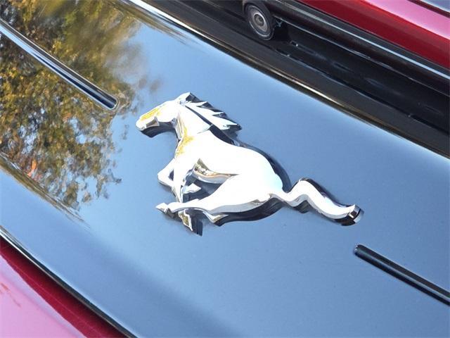 used 2019 Ford Mustang car, priced at $16,998
