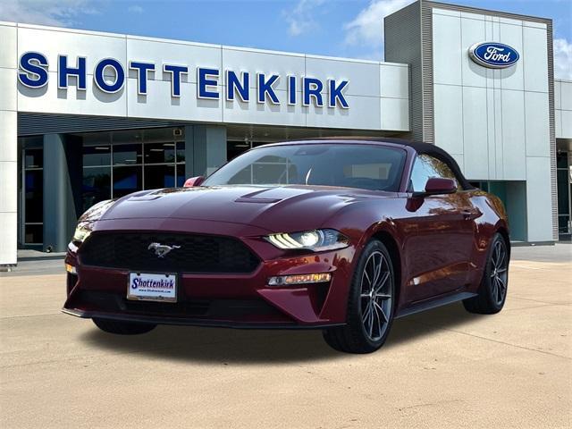 used 2019 Ford Mustang car, priced at $16,998