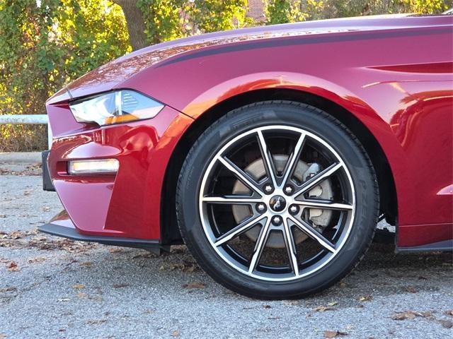 used 2019 Ford Mustang car, priced at $16,998