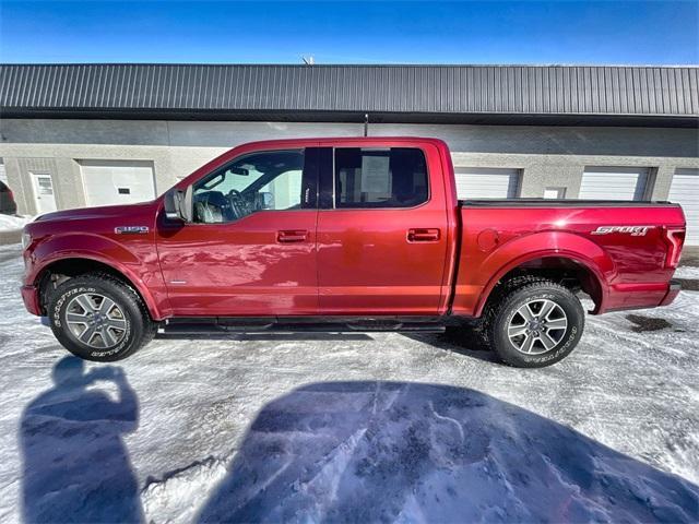 used 2016 Ford F-150 car, priced at $24,141