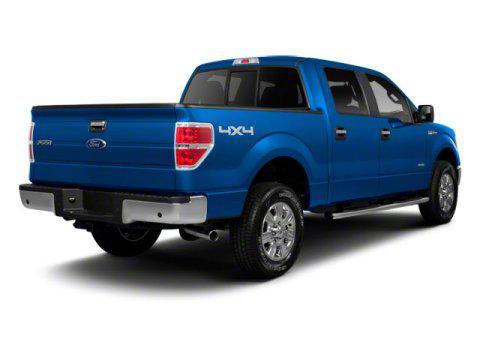 used 2010 Ford F-150 car