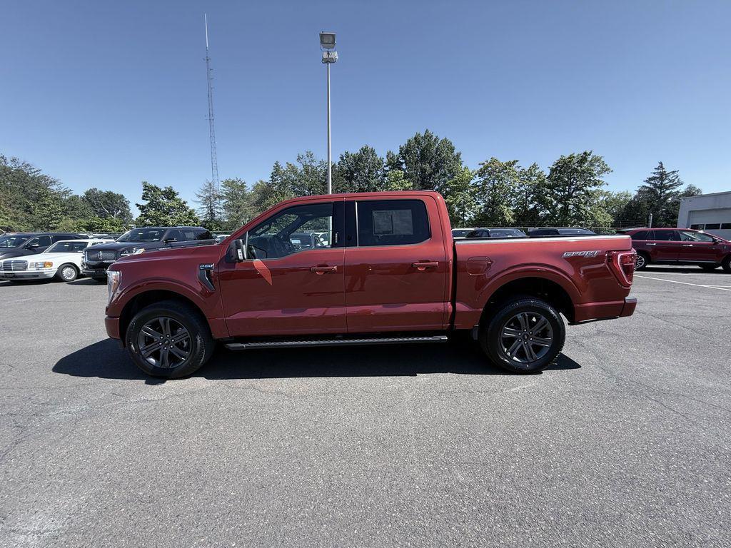 used 2023 Ford F-150 car, priced at $43,490