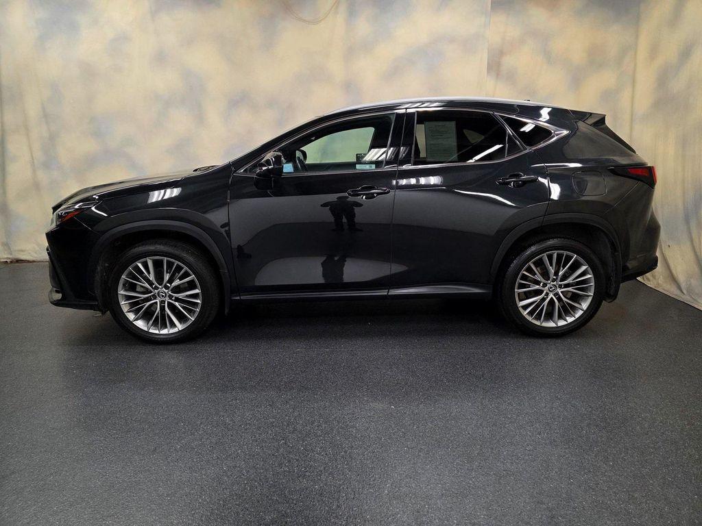 used 2024 Lexus NX 350 car, priced at $46,490