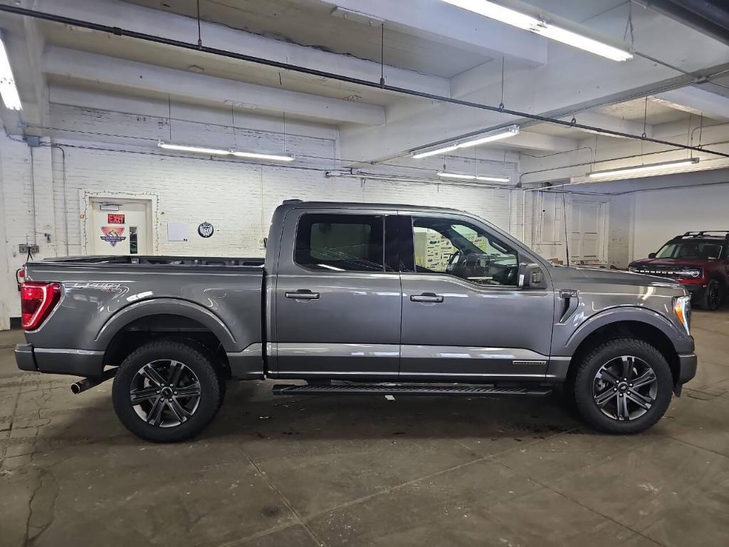 used 2023 Ford F-150 car, priced at $41,900