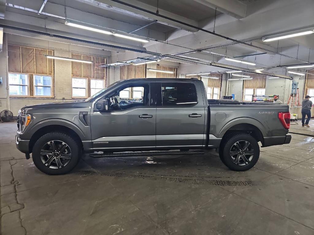 used 2023 Ford F-150 car, priced at $41,900