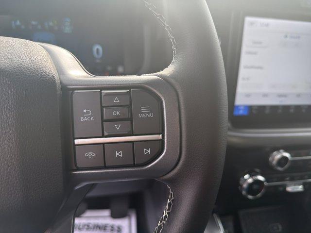 new 2025 Ford F-150 car