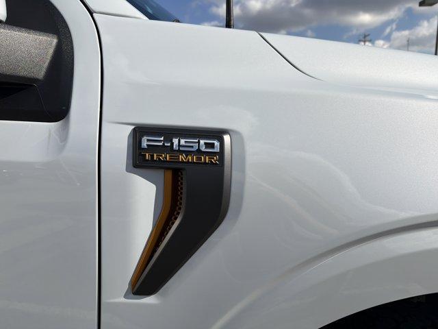 new 2025 Ford F-150 car