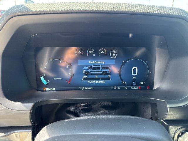 new 2025 Ford F-150 car