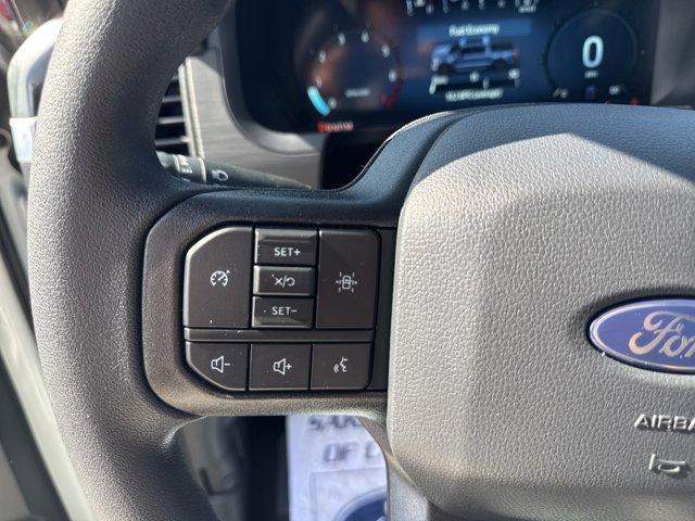 new 2025 Ford F-150 car