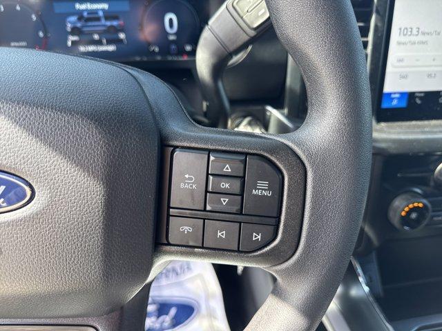 new 2025 Ford F-150 car