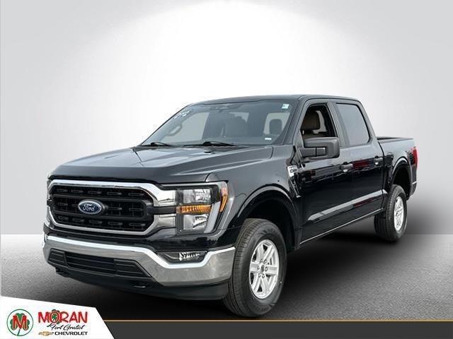 used 2023 Ford F-150 car, priced at $36,698