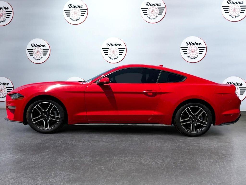 used 2021 Ford Mustang car, priced at $19,999