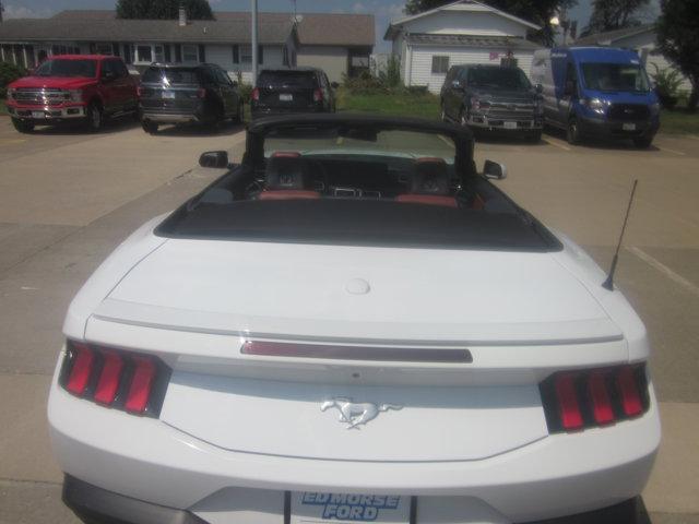 used 2024 Ford Mustang car, priced at $33,764