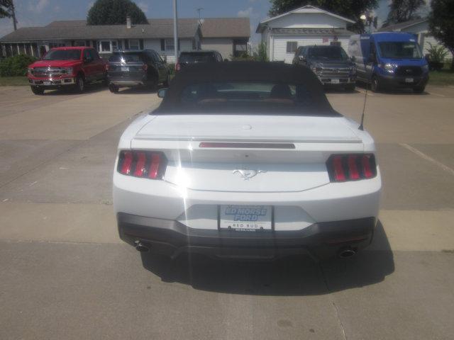 used 2024 Ford Mustang car, priced at $33,764