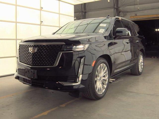 used 2023 Cadillac Escalade car, priced at $77,998
