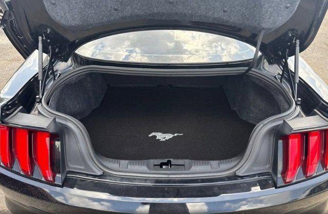 used 2019 Ford Mustang car, priced at $29,951