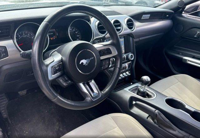 used 2019 Ford Mustang car, priced at $29,951