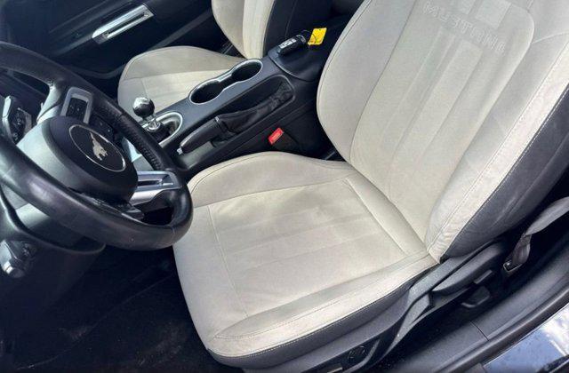 used 2019 Ford Mustang car, priced at $29,951