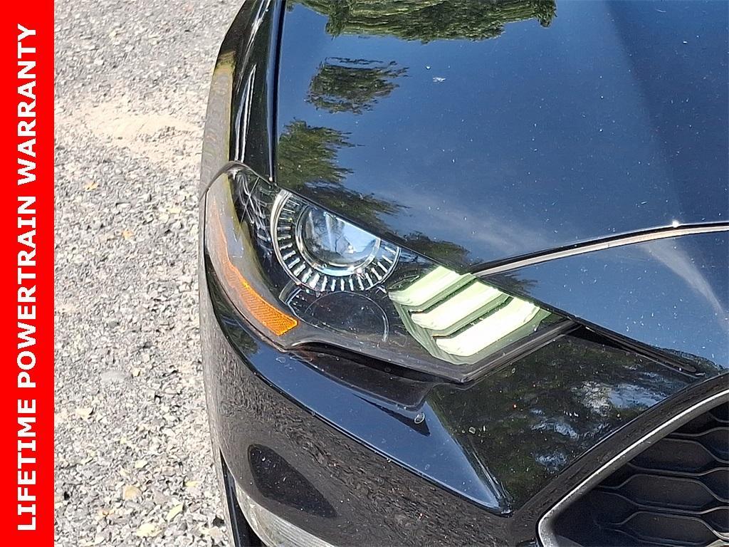 used 2023 Ford Mustang car, priced at $21,996