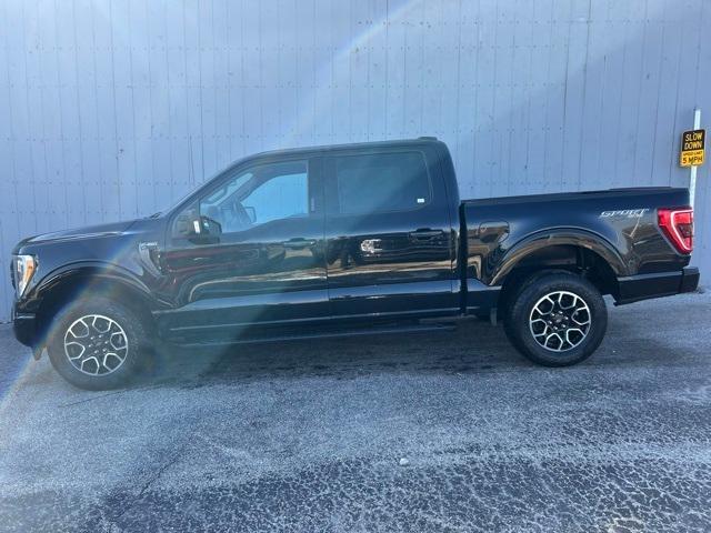 used 2021 Ford F-150 car, priced at $31,888