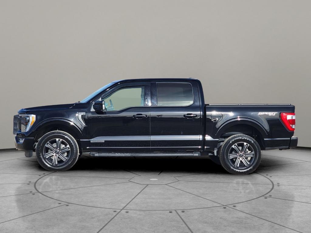 used 2023 Ford F-150 car, priced at $41,888