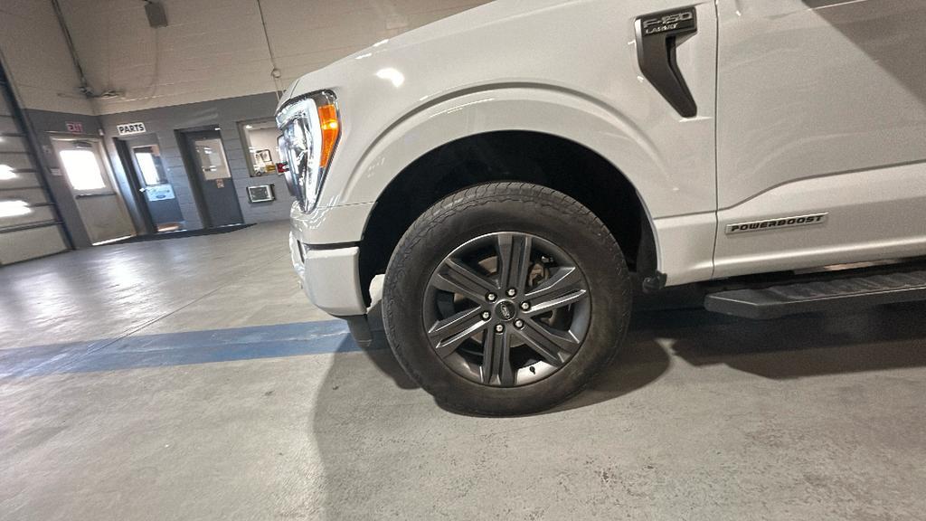 used 2023 Ford F-150 car, priced at $49,000