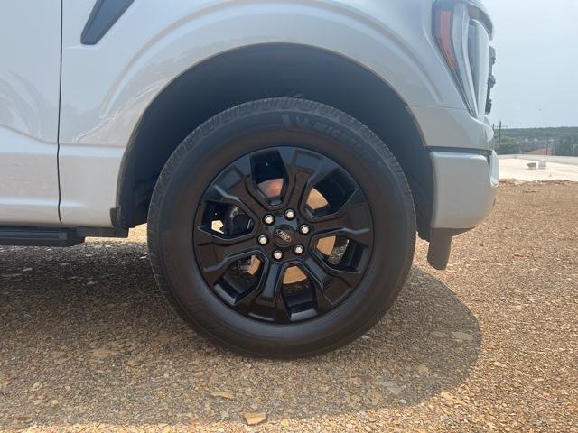 used 2023 Ford F-150 car, priced at $49,870