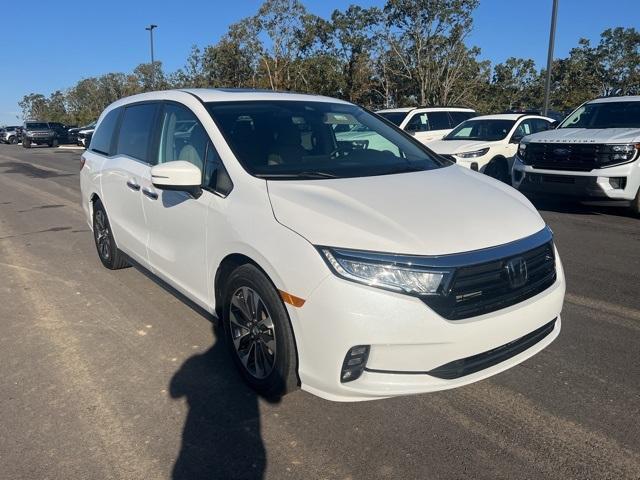 used 2024 Honda Odyssey car, priced at $39,266