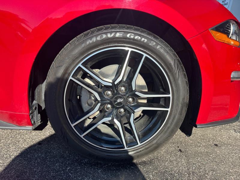 used 2023 Ford Mustang car, priced at $26,499