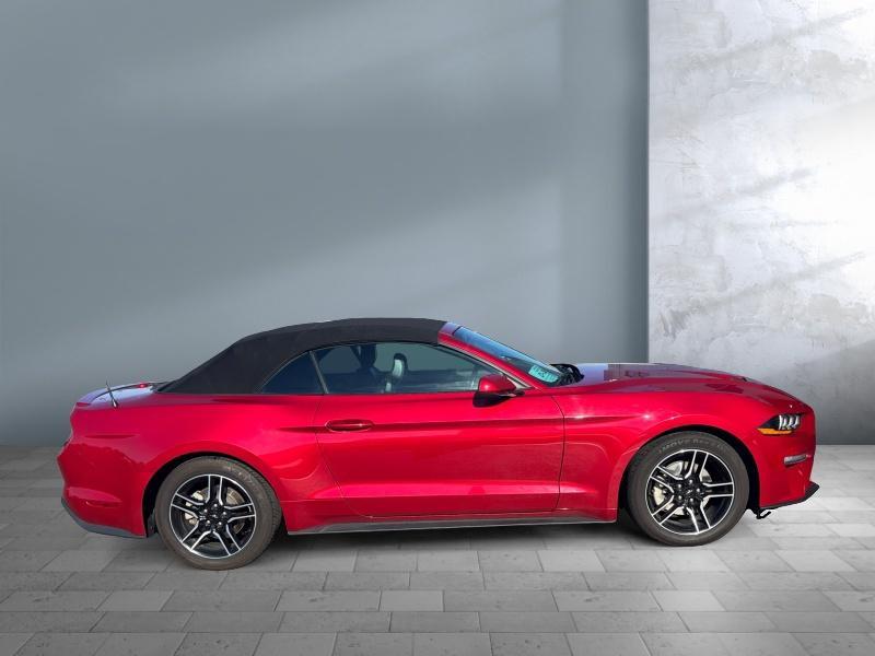 used 2023 Ford Mustang car, priced at $26,499
