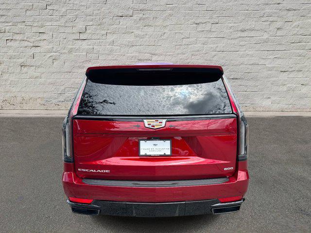 used 2024 Cadillac Escalade car, priced at $96,500