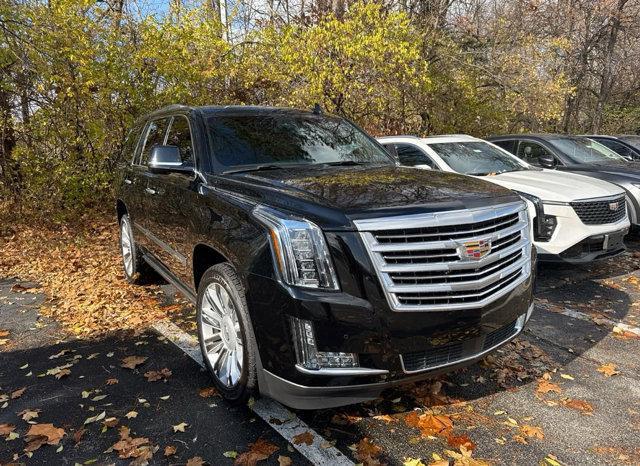 used 2016 Cadillac Escalade car, priced at $39,999