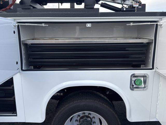 new 2025 Ford F-450 car, priced at $145,623