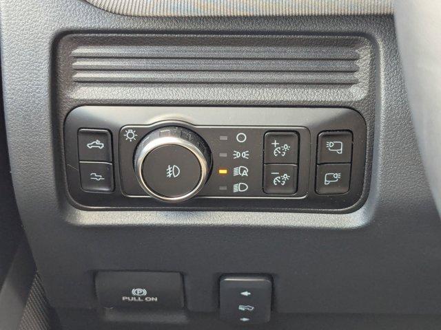 new 2025 Ford F-250 car, priced at $99,390