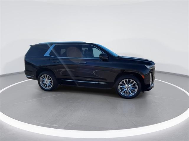 used 2021 Cadillac Escalade car, priced at $64,996