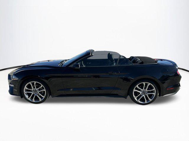 used 2019 Ford Mustang car, priced at $19,999