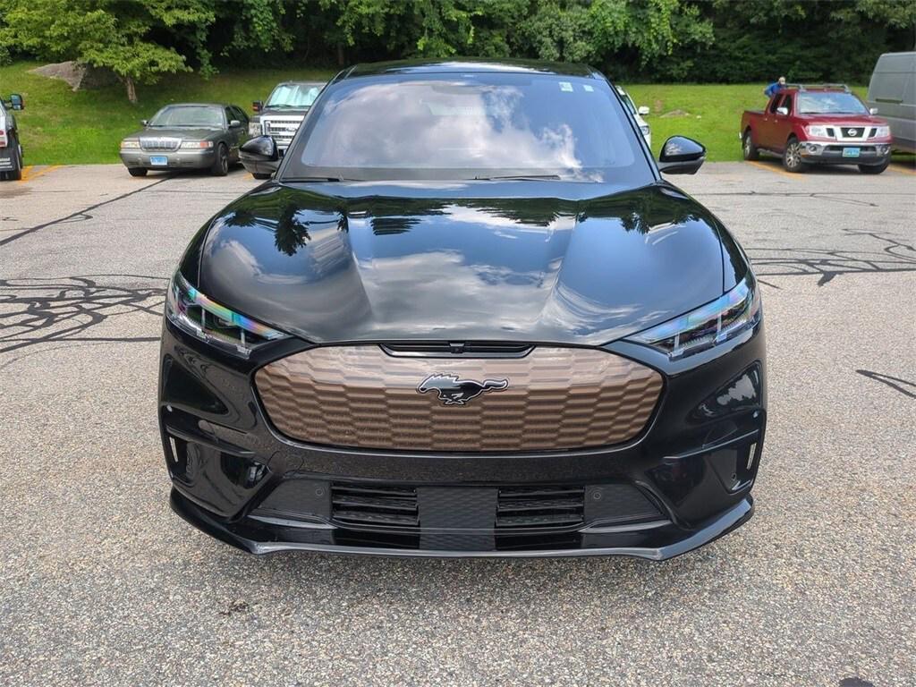 new 2025 Ford Mustang Mach-E car, priced at $59,000