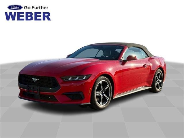 used 2024 Ford Mustang car, priced at $35,000