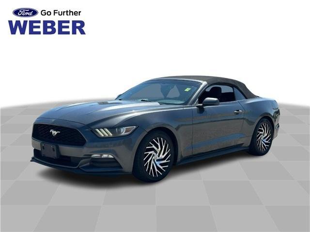 used 2016 Ford Mustang car, priced at $16,000