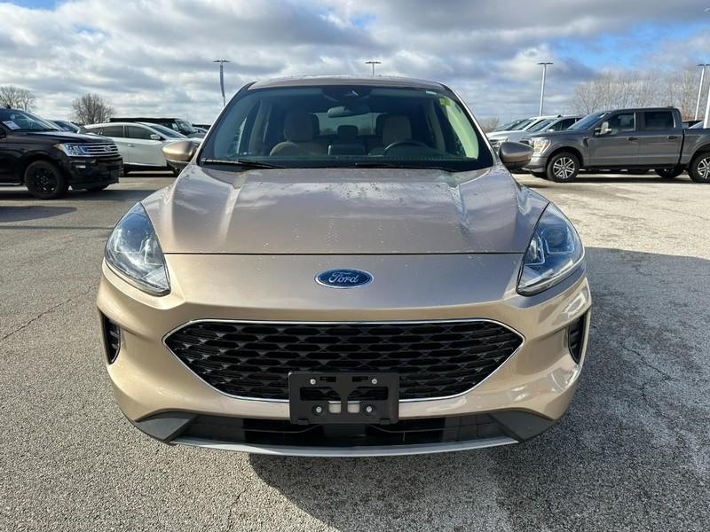 used 2020 Ford Escape car, priced at $17,988