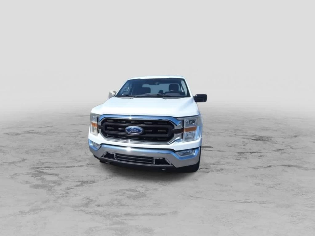 used 2021 Ford F-150 car, priced at $37,999
