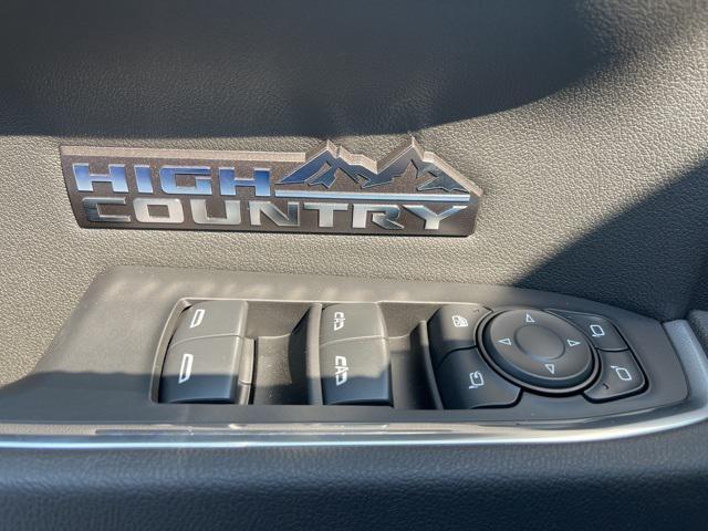 new 2025 Chevrolet Silverado 1500 car, priced at $74,795