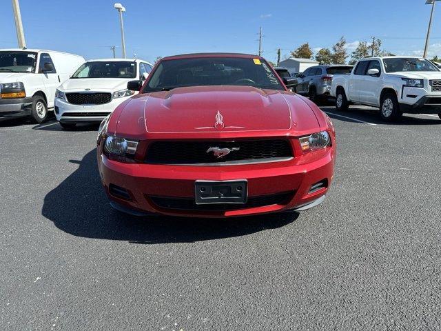 used 2010 Ford Mustang car