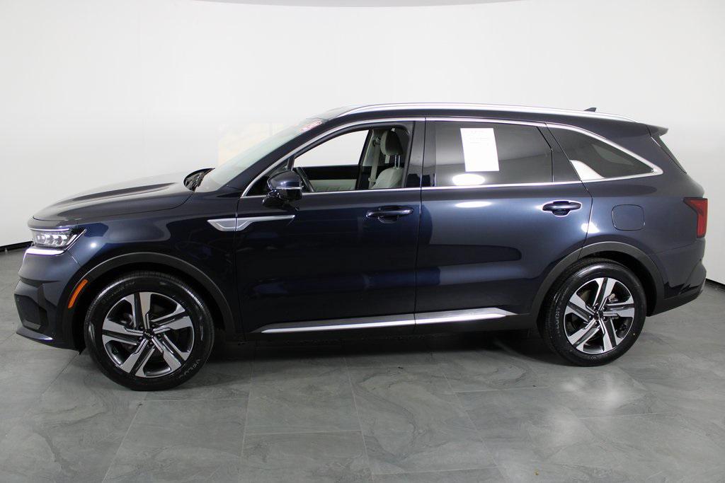 used 2023 Kia Sorento Hybrid car, priced at $31,987