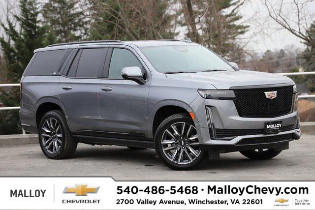 used 2021 Cadillac Escalade car, priced at $66,540