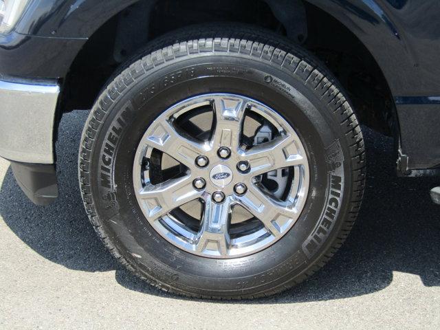 used 2023 Ford F-150 car